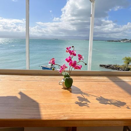Appartement Les Yuccas, Vue Sur La Mer Et Les Montagnes Le Gosier  Exteriör bild