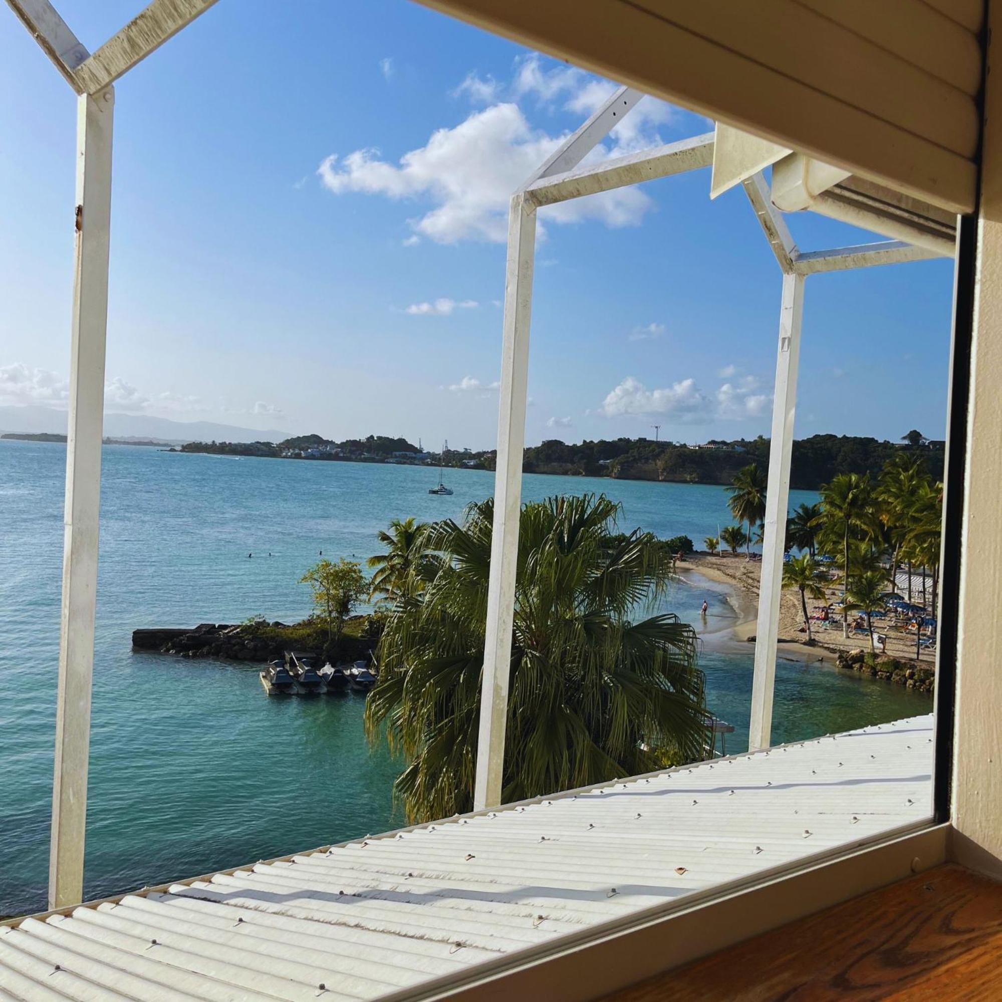Appartement Les Yuccas, Vue Sur La Mer Et Les Montagnes Le Gosier  Exteriör bild