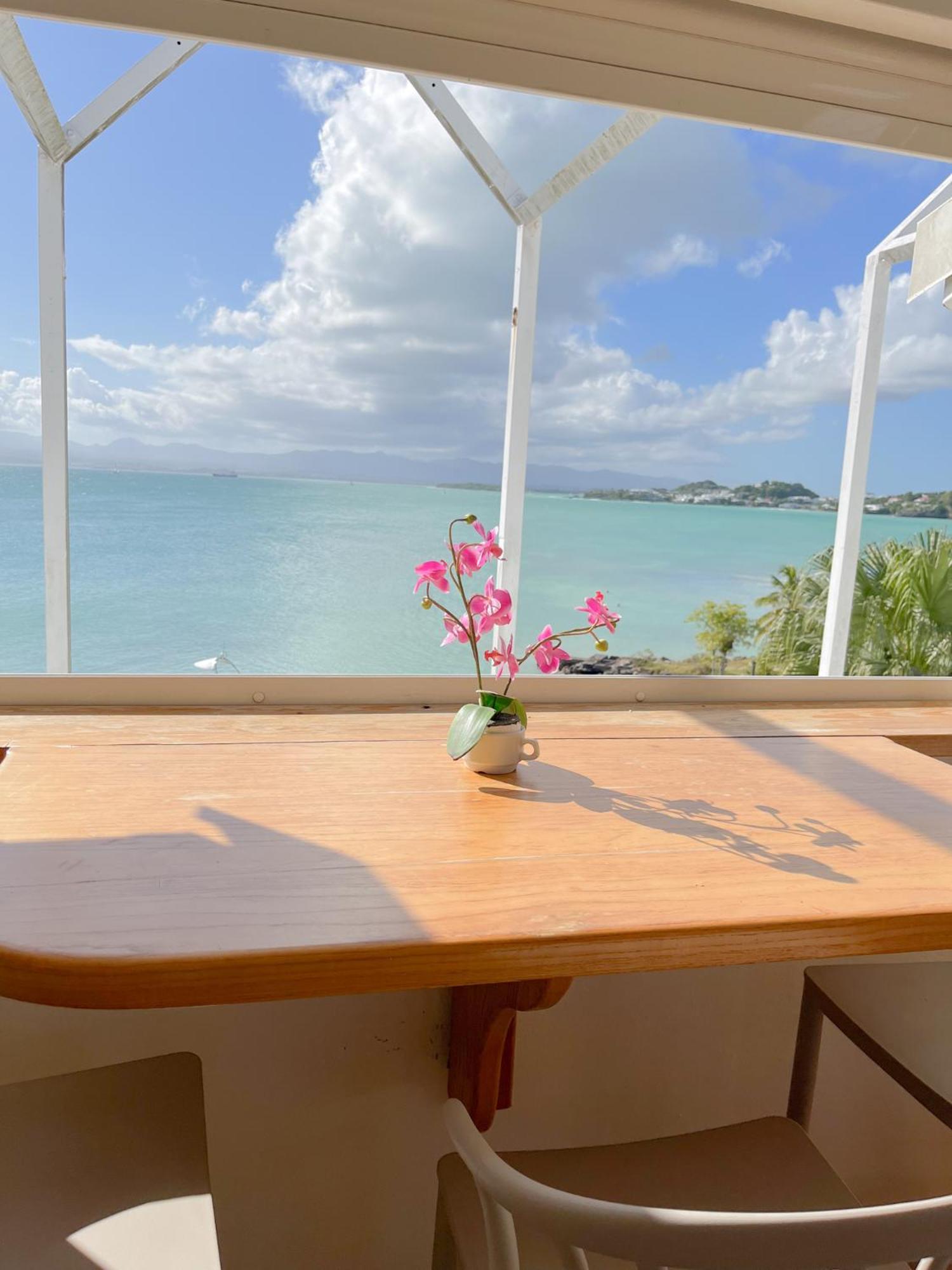 Appartement Les Yuccas, Vue Sur La Mer Et Les Montagnes Le Gosier  Exteriör bild